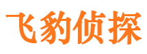 迁安市婚外情调查